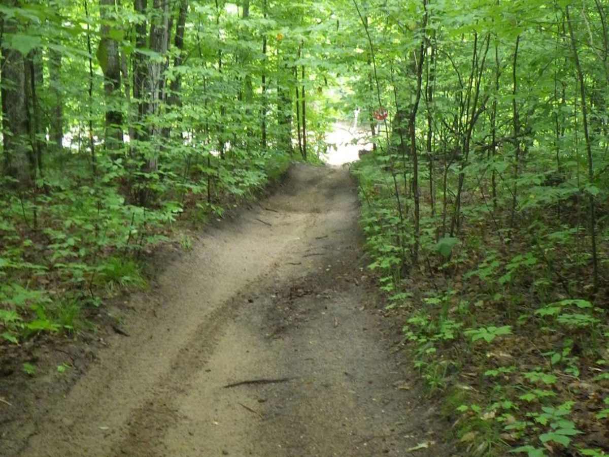 Kalkaska ORV Trail - North photo 4