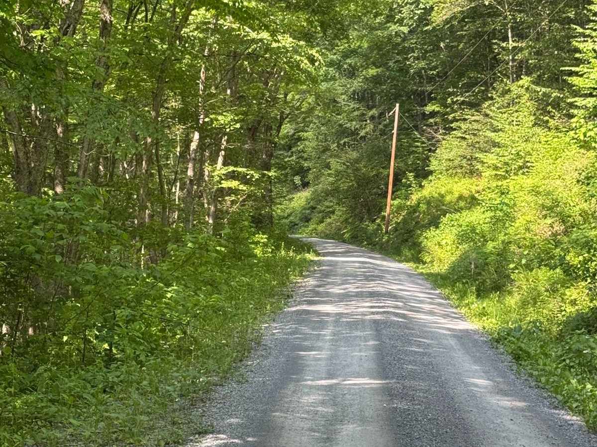 Right Hand Young Womans Creek Road photo 2