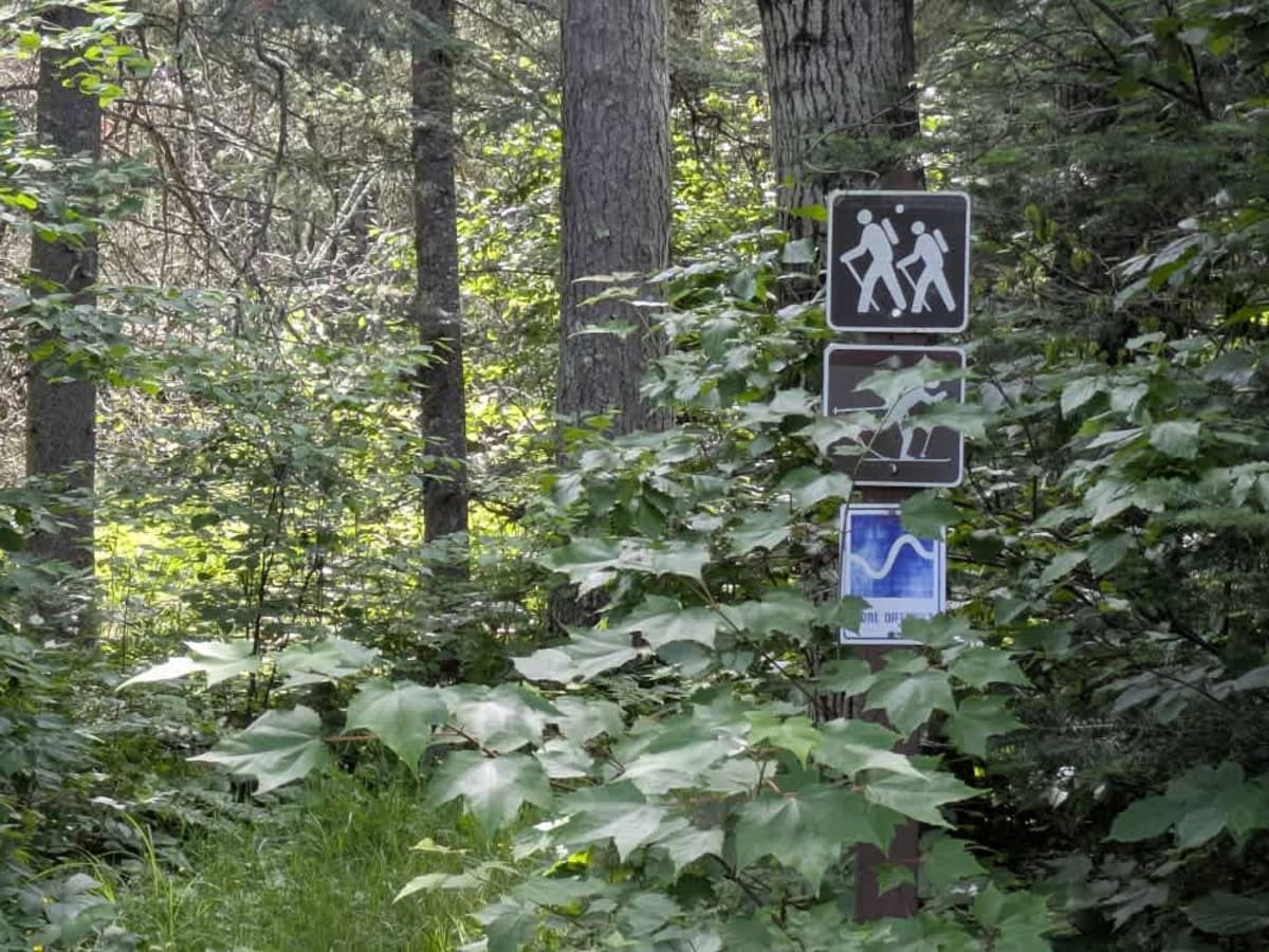 FS 279 trail photo