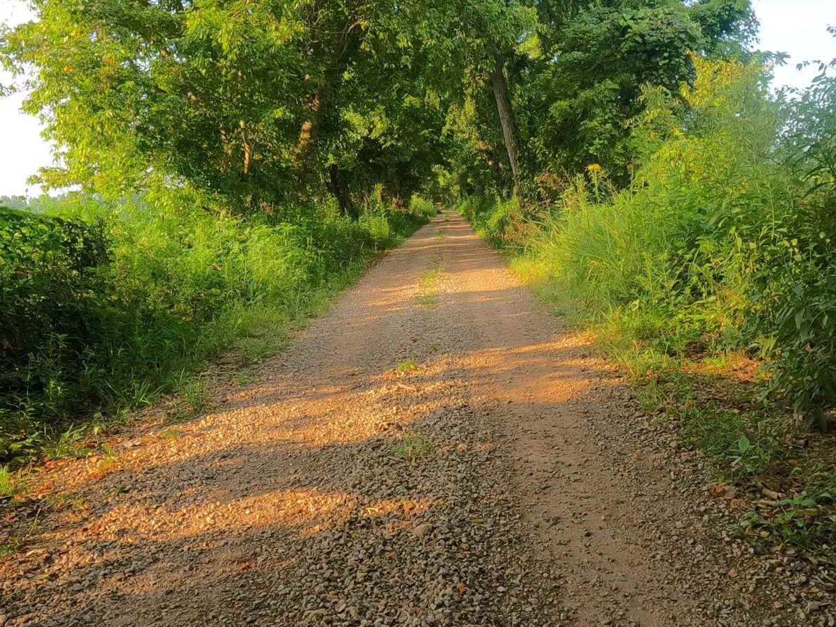 Shelton Ford photo 5