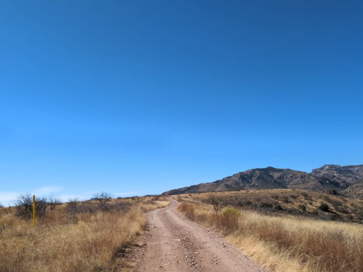 Wise Mesa - FR4151 photo 6