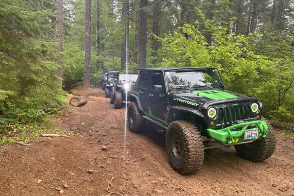 Cedar Tree - Jeep Badge of Honor Trail