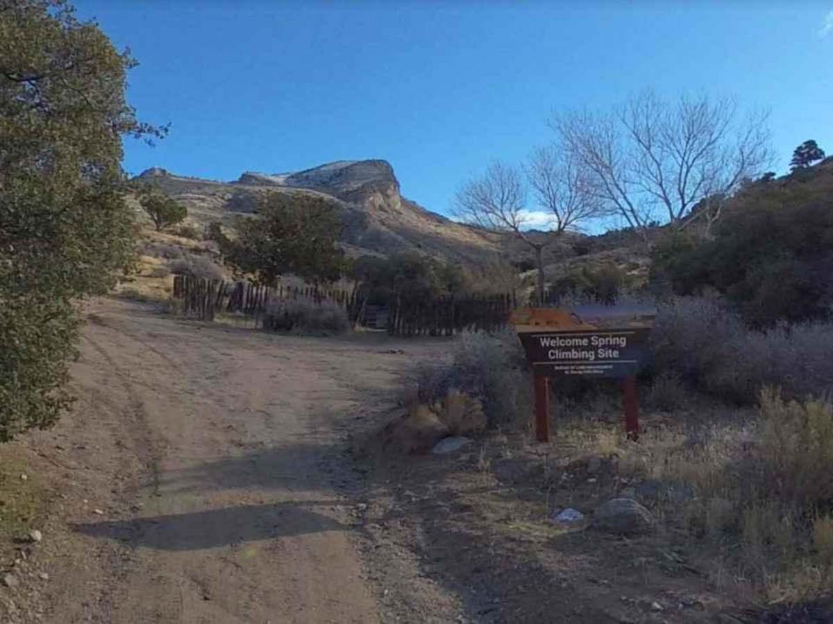 BLM30085 photo 3