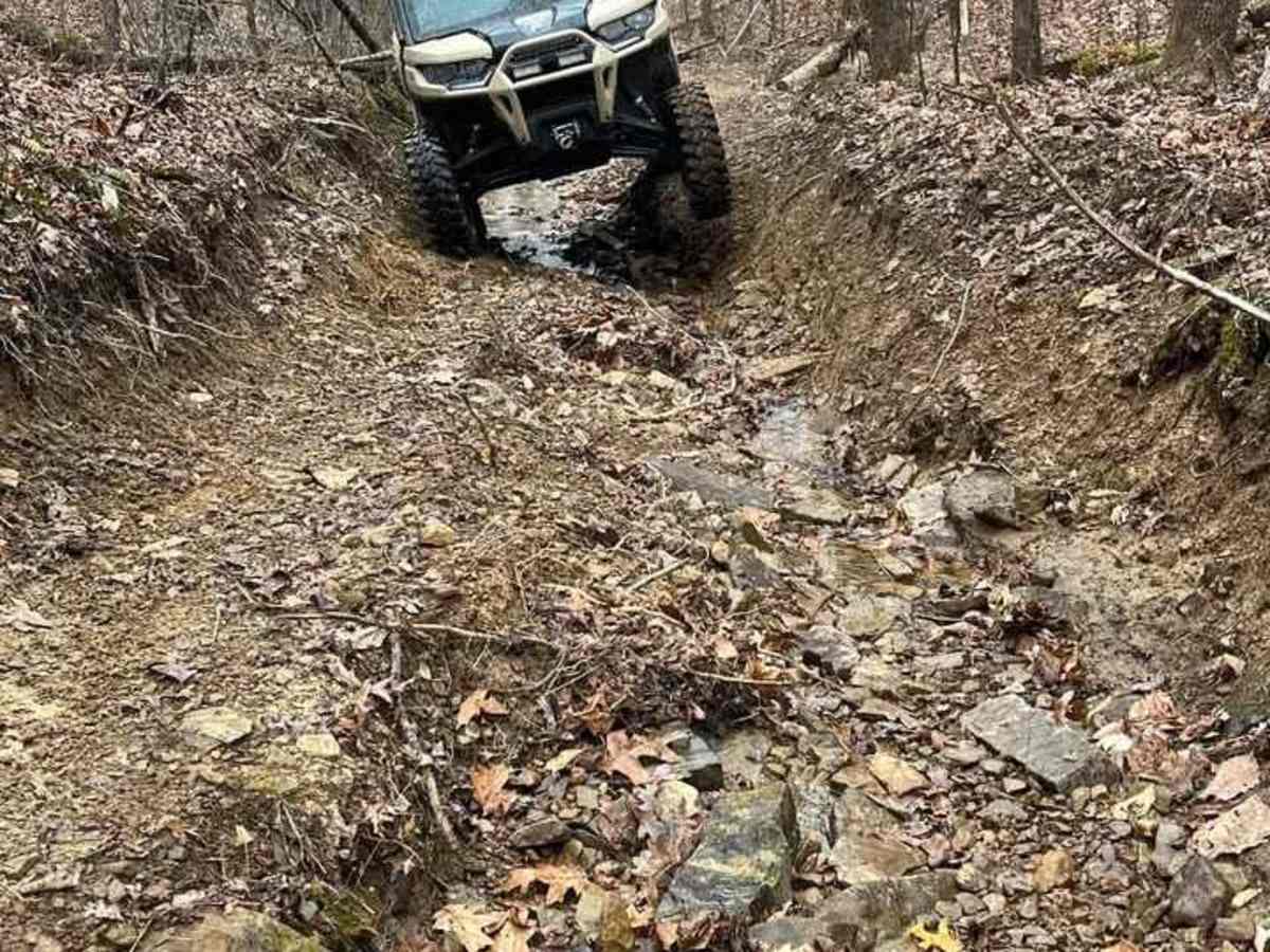 Trail 85 photo 2