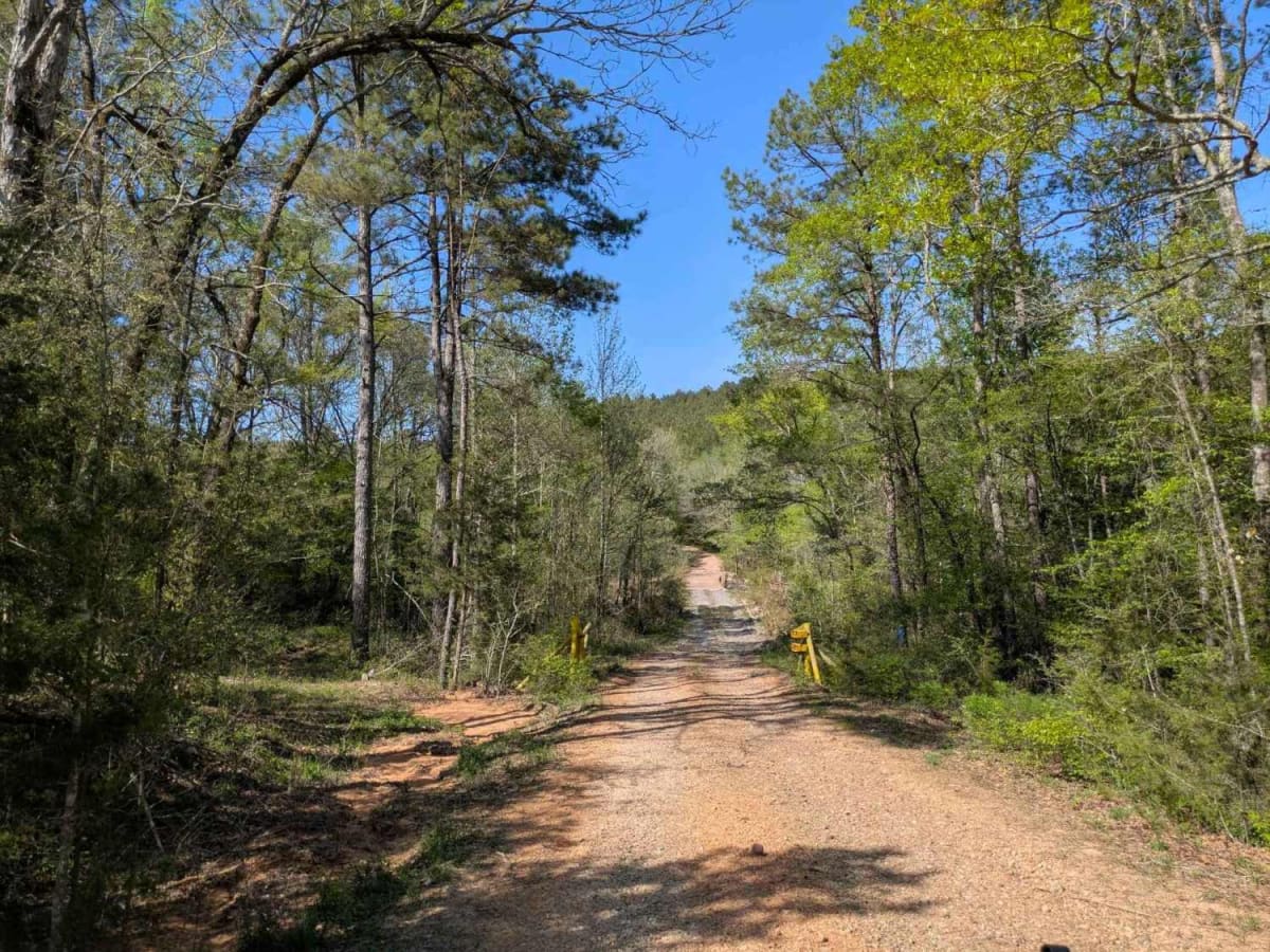 Polk Road photo 2