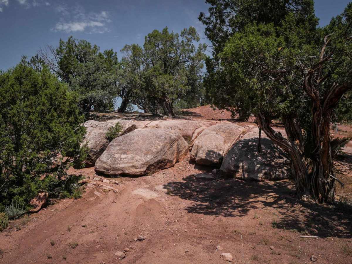 BLM 8625 photo 4
