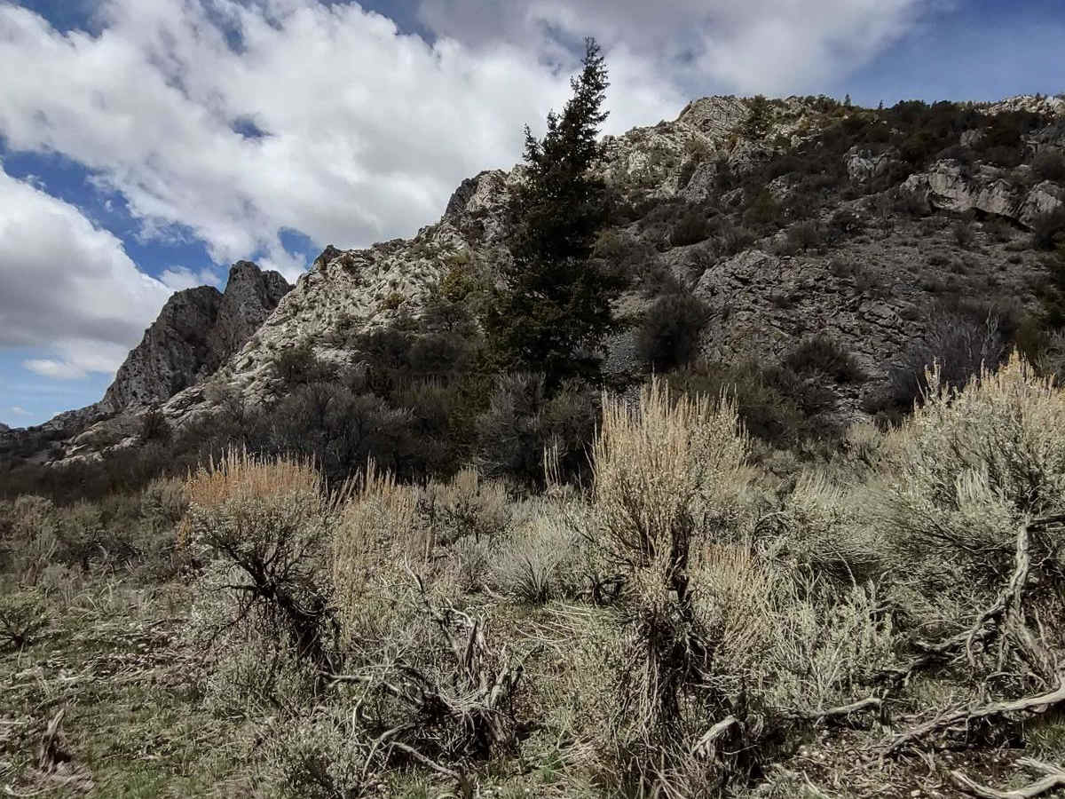 Wood Canyon to Arco Pass photo 5