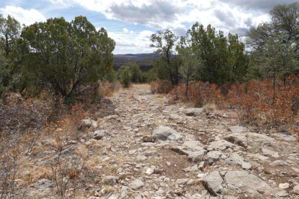 Cactus Canyon