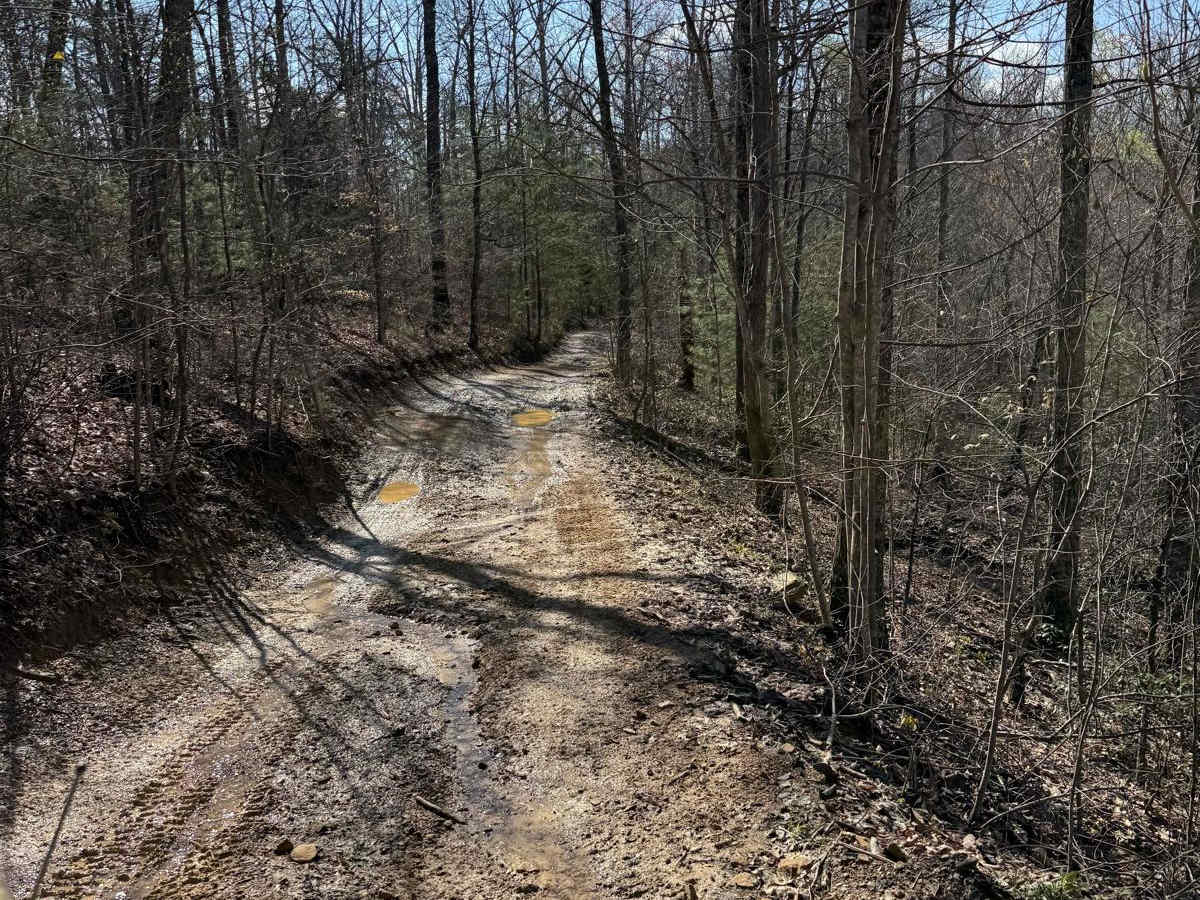 Trail 7 photo 5
