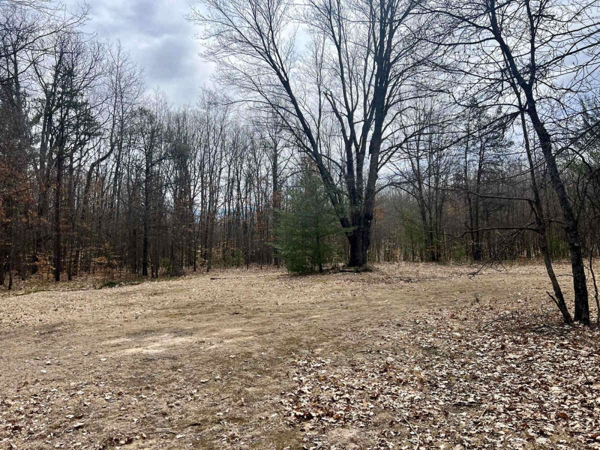 NFS 6396 photo 5