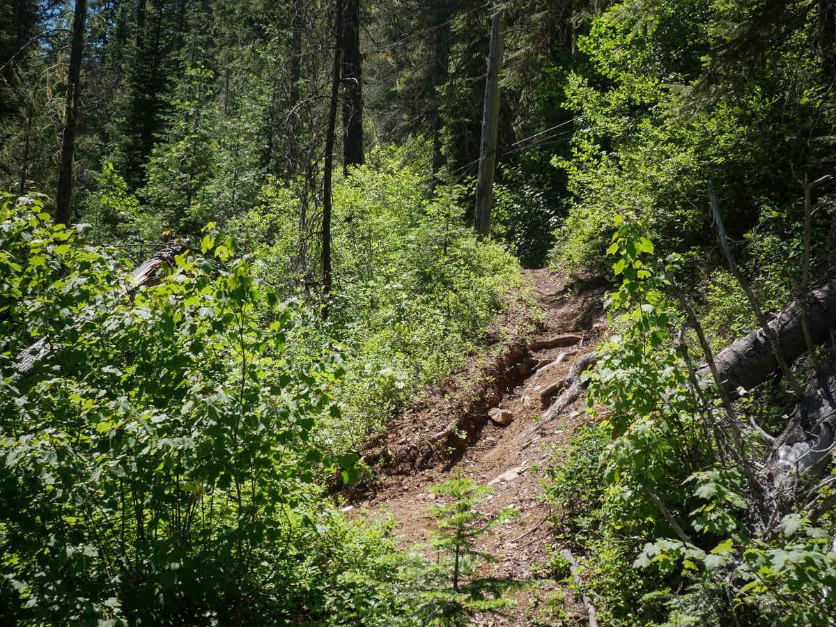 Bear Creek photo 3