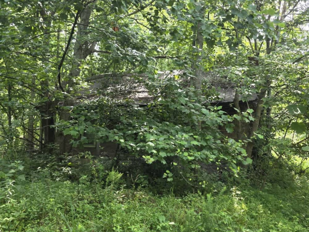 Sullivan Hollow Road - Macon County Tour photo 5