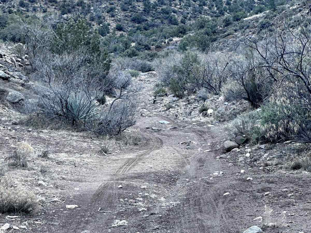 Music Mountains Trail photo 4
