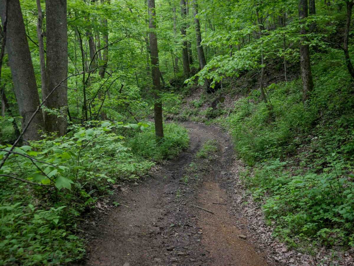 J43 photo 2
