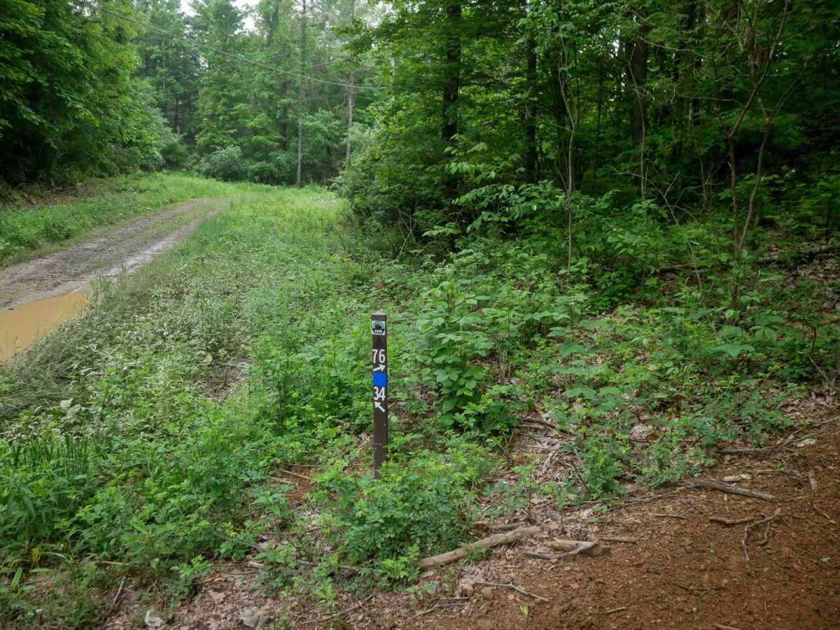 J76 trail photo