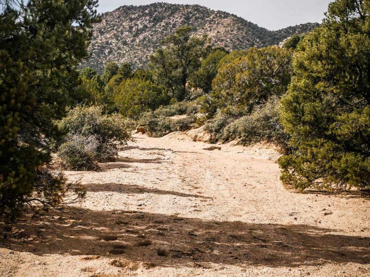 ATV Sand Wash Trail trail photo