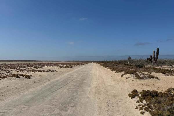 Landfill Road