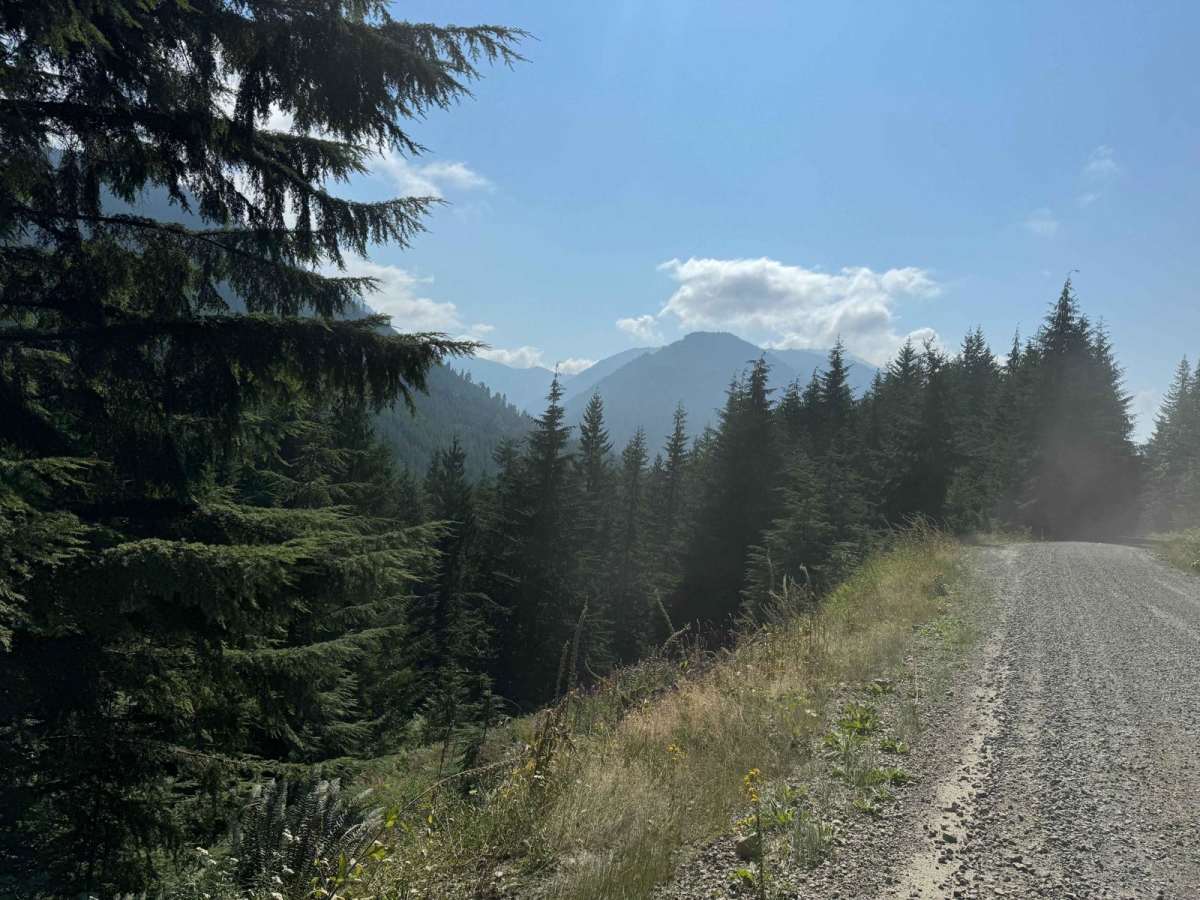 Beckler River trail photo