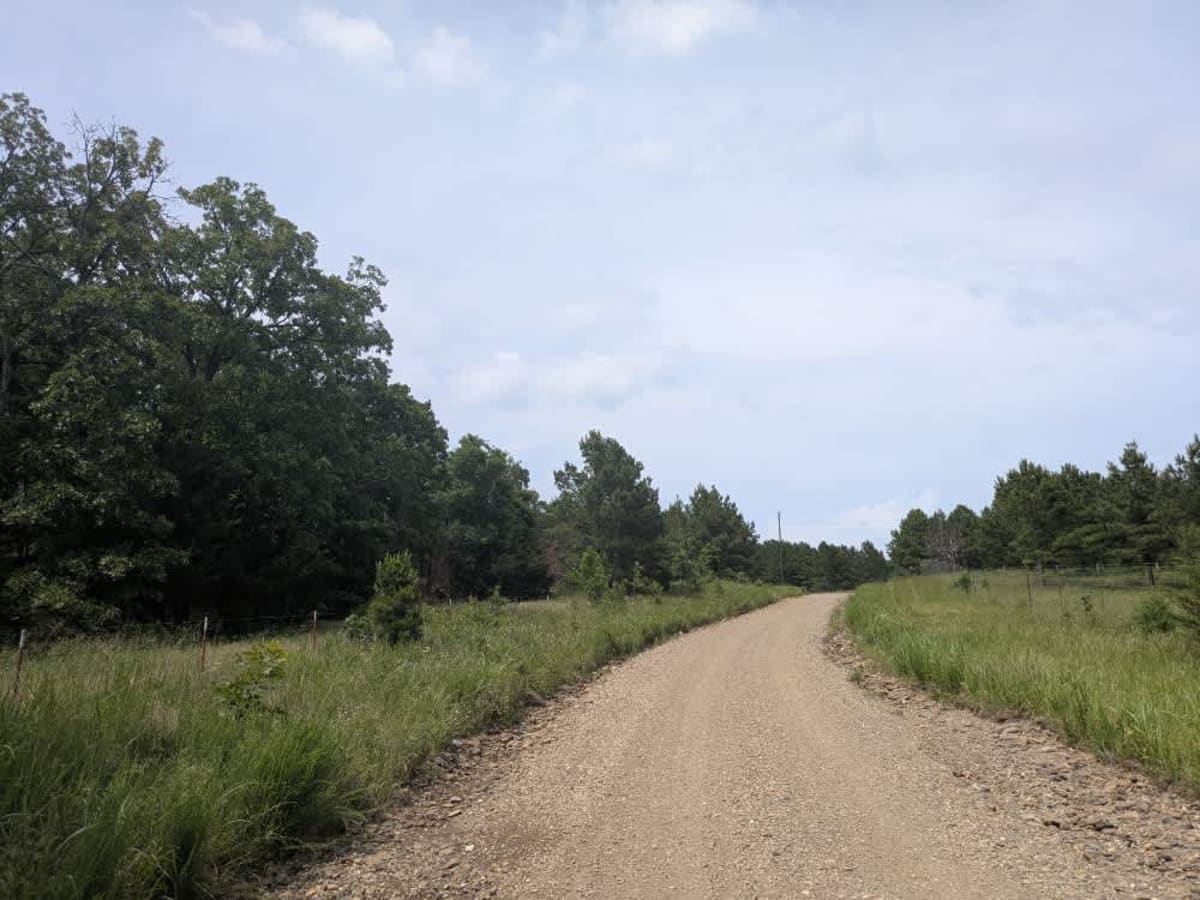N4770 photo 6