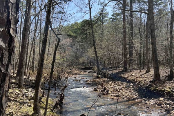 Posey Hollow 76