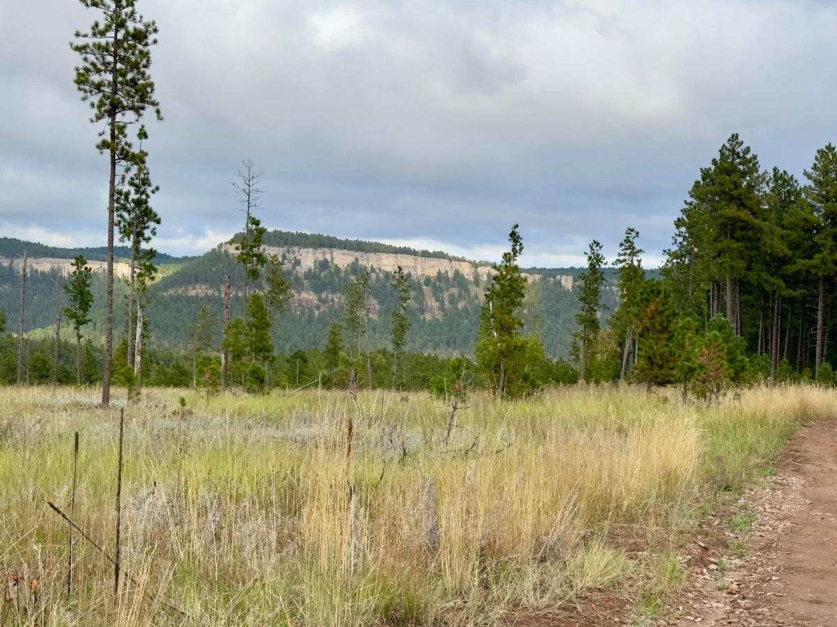 Bogus Jim (FS 201) and Duran (FS 679.1) trail photo