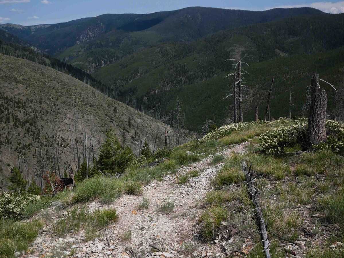 672 Connector trail photo