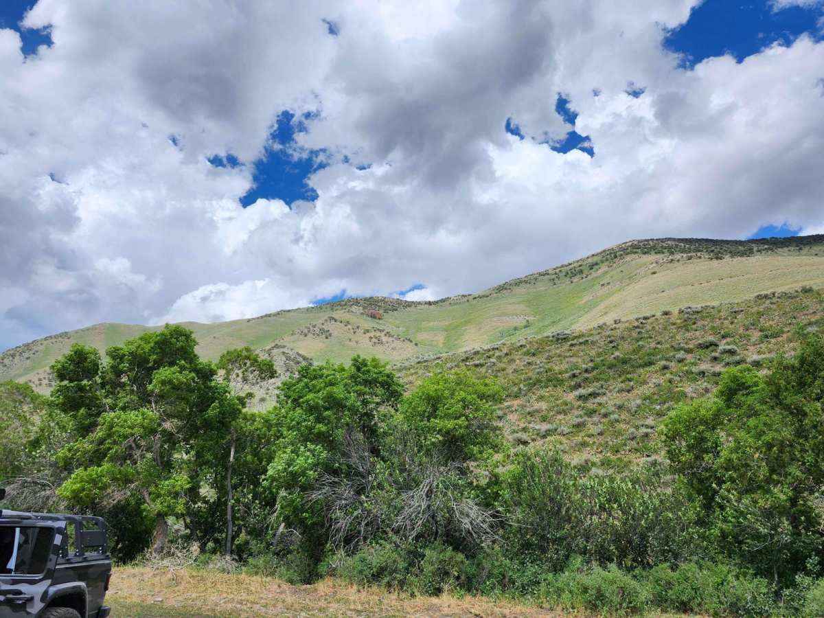 Bear Fork photo 6