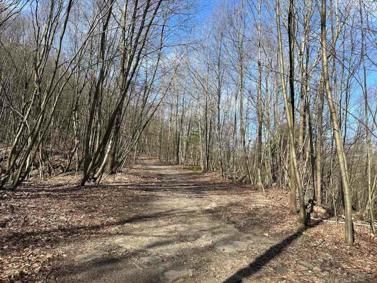 St. Keirns 30 trail photo