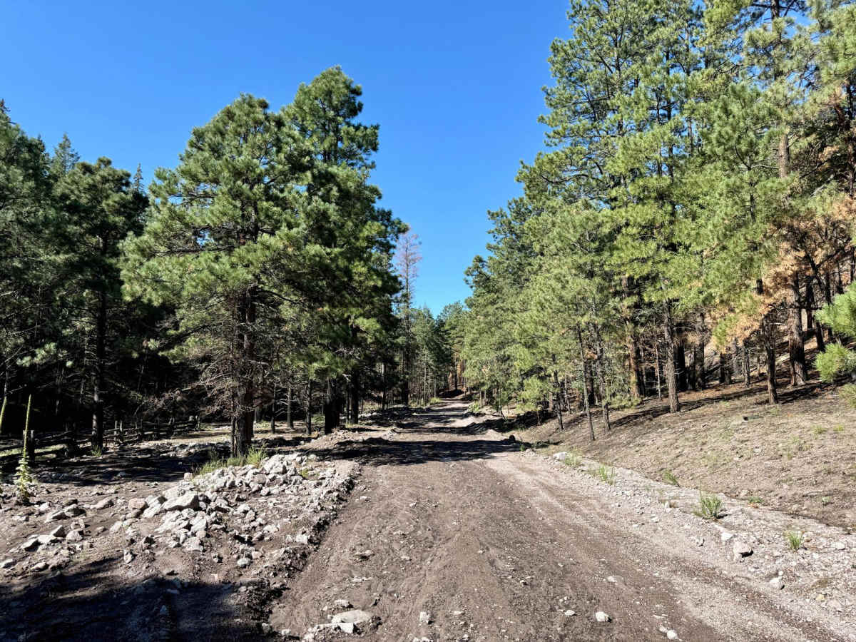 Old State Highway 52 - FR 549 photo 3