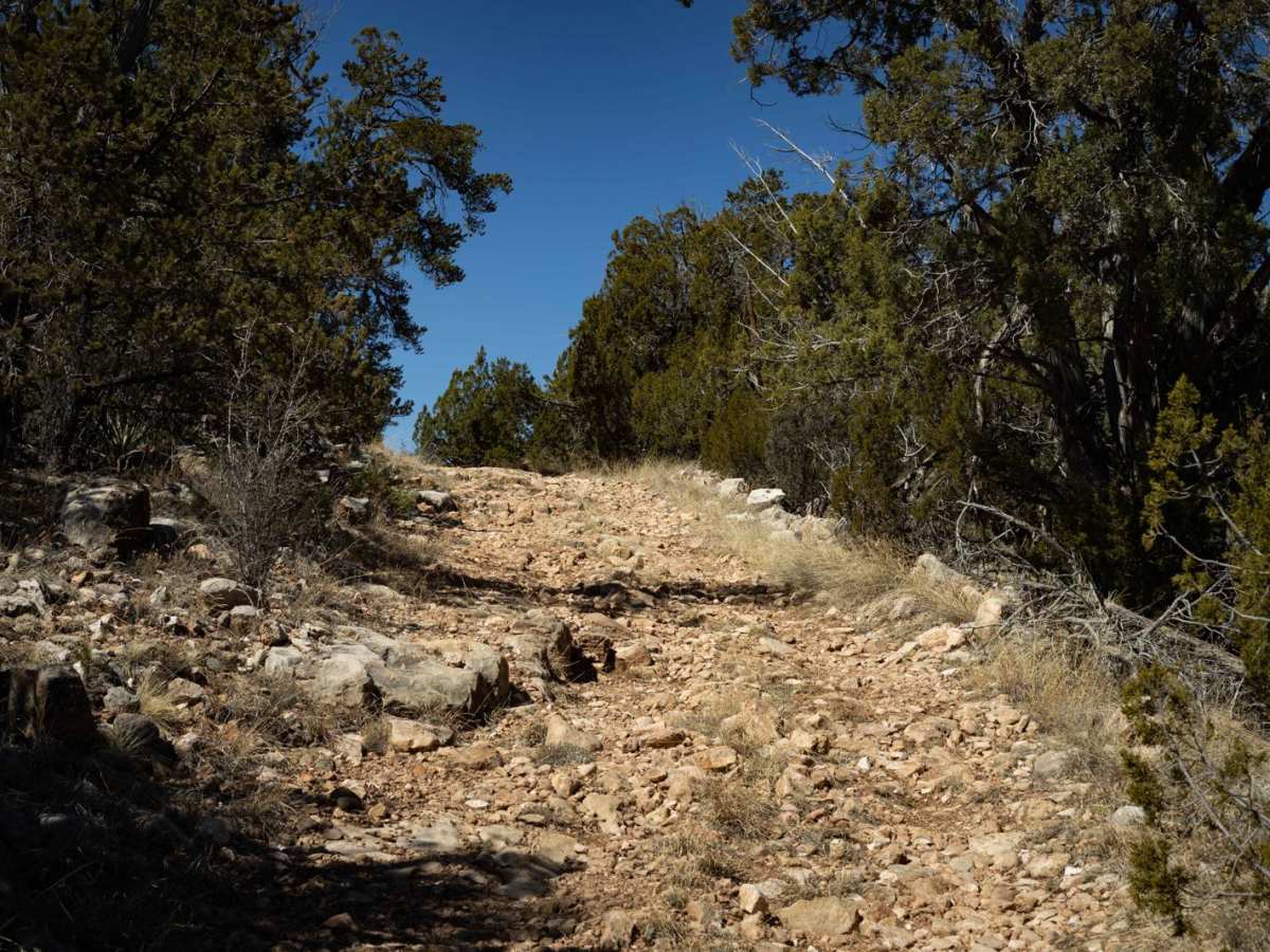 Powerline West photo 4
