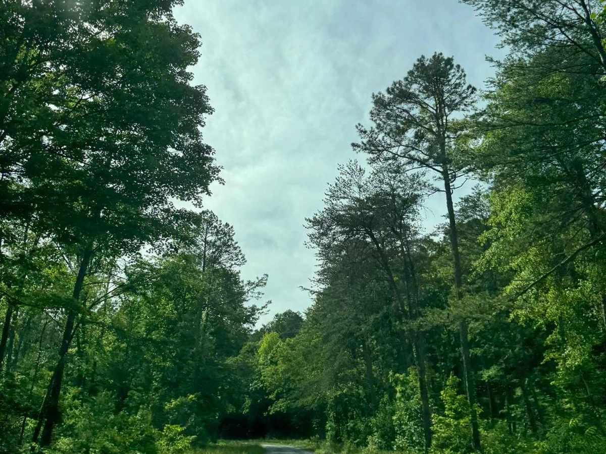 Pigeon Mountain photo 5