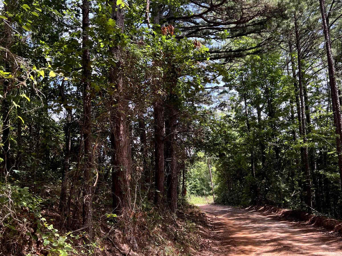 Valley of Peace trail photo