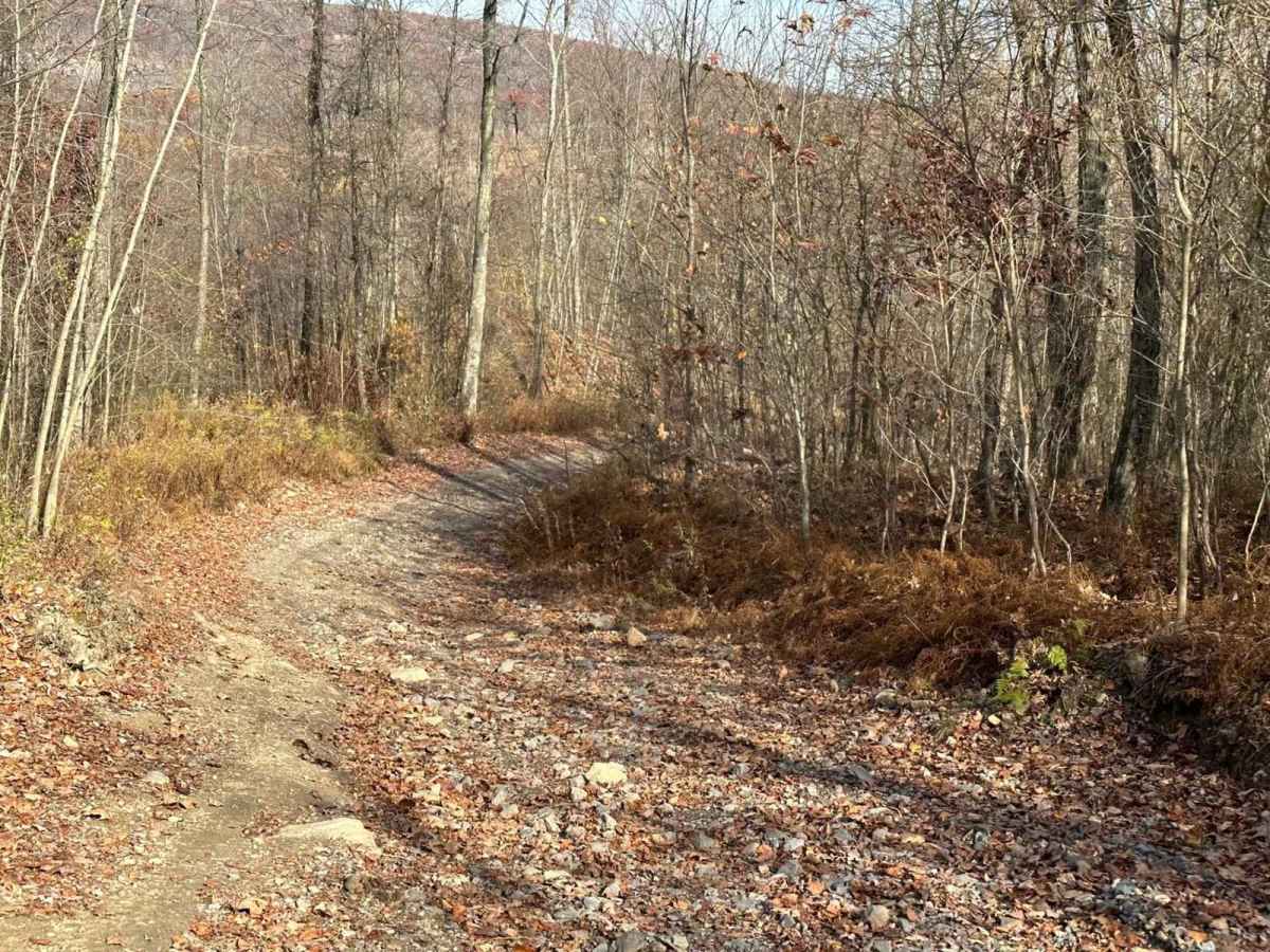 Ashland 152 photo 3
