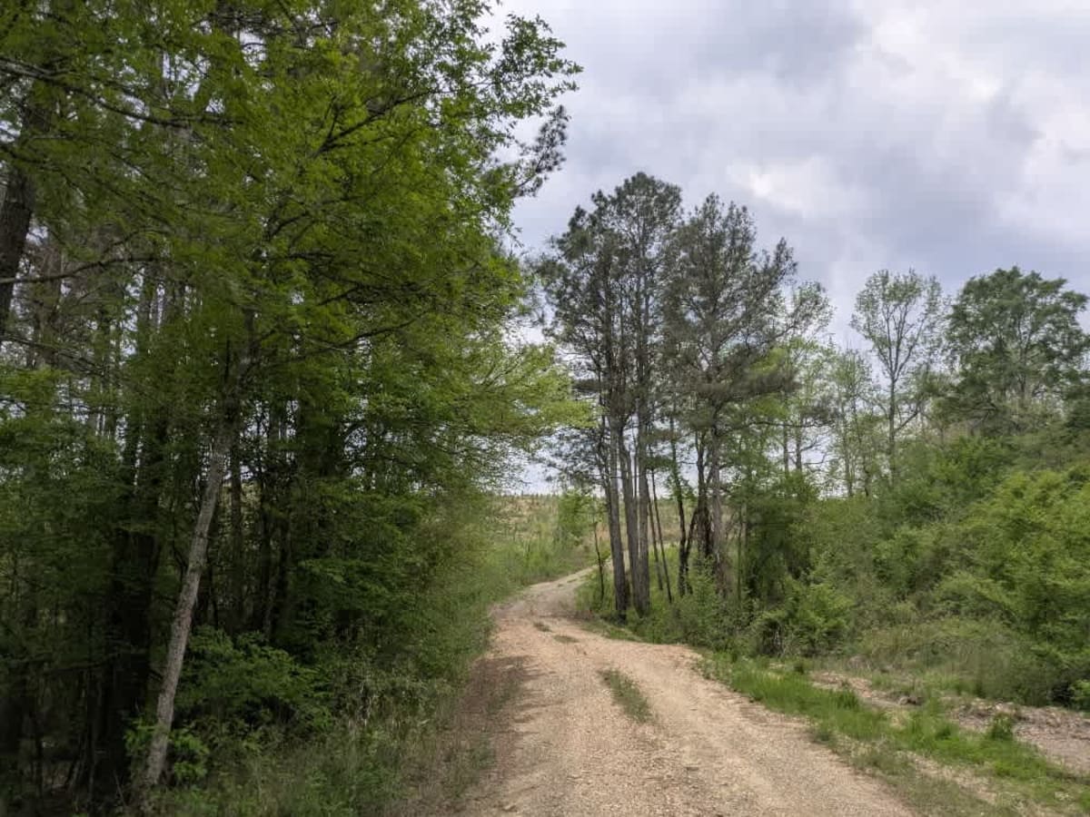 51220 photo 6