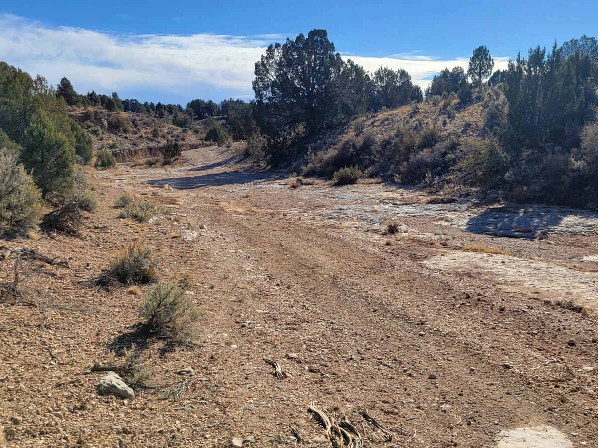 Grassy Point Road - BLM 1046 photo 4