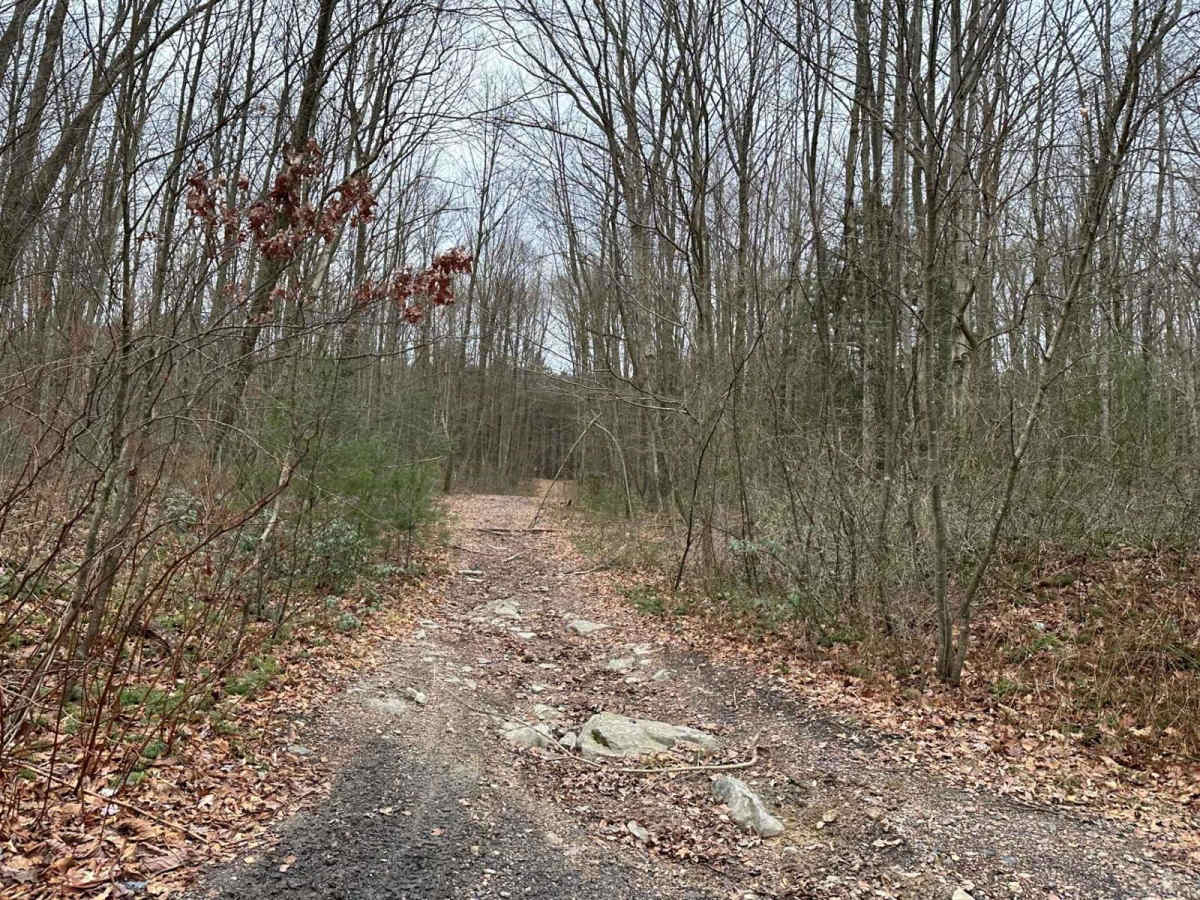 Locust Gap 70 trail photo