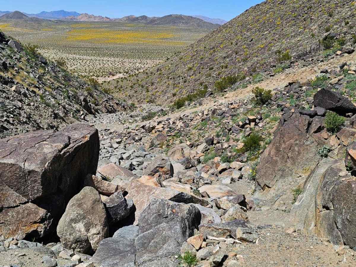 Boulder Dash photo 4