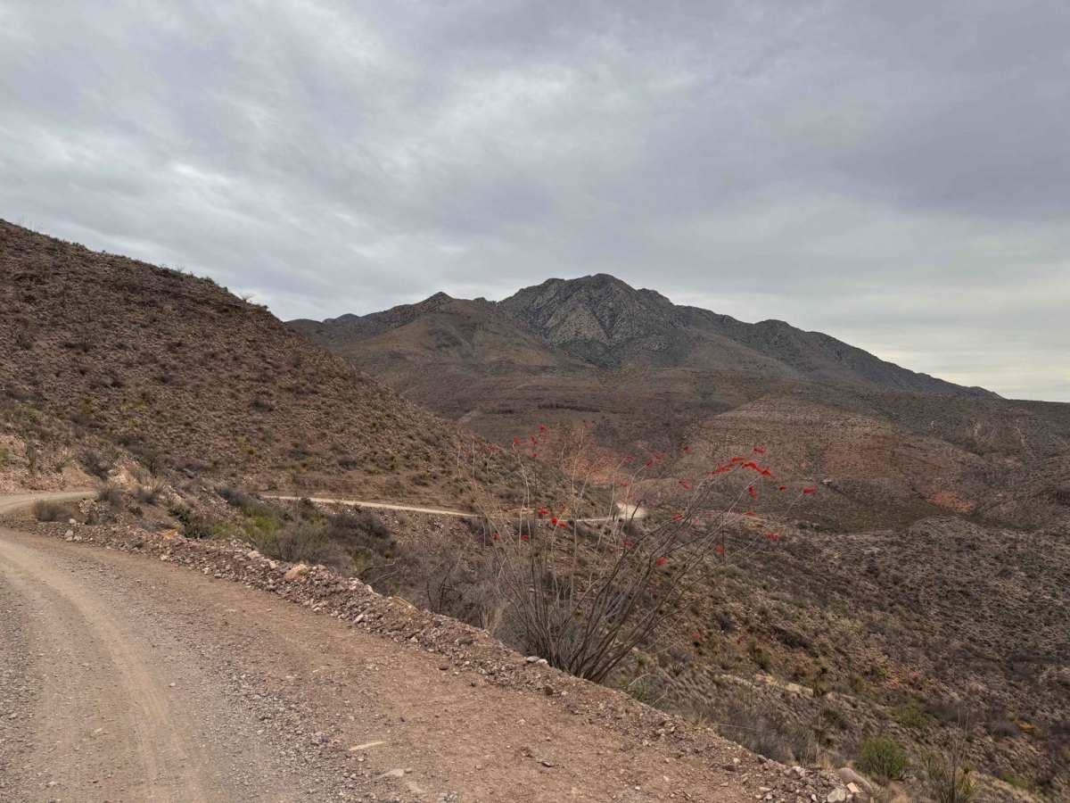 Pinto Canyon Road trail photo