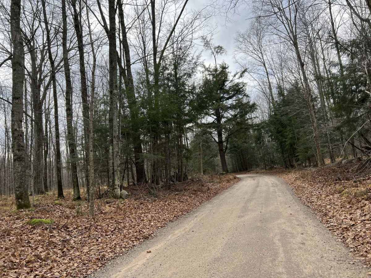 Florence County Trail H- Northwoods Drive photo 5