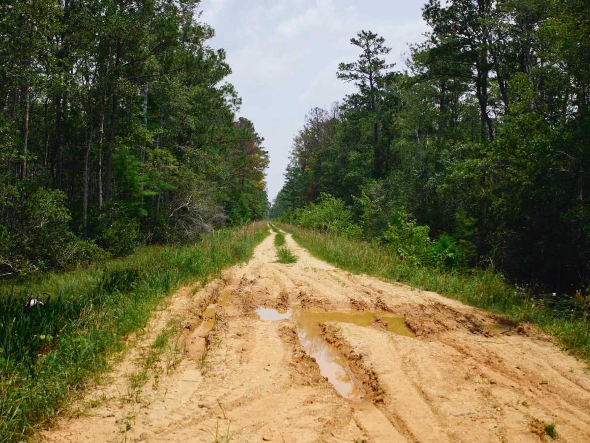 Hell Hole Bay Wilderness - FSR 158 trail photo
