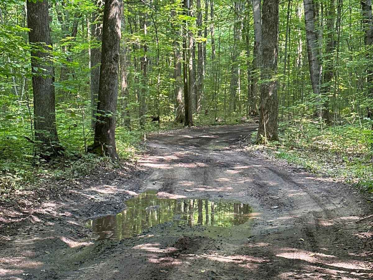 Lost Lake Road photo 5
