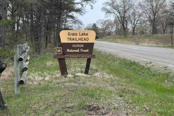 H9 Grass Lake to FS 4194