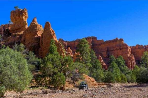 Casto Canyon OHV Trail-NFS33089