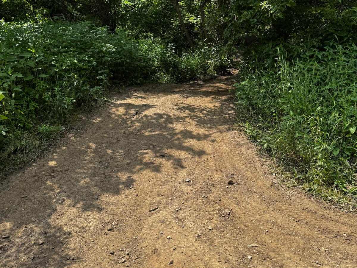 Green 75 trail photo