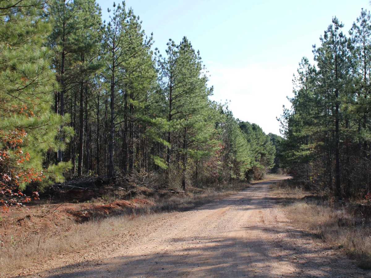 Weyerhaeuser 25500 photo 6