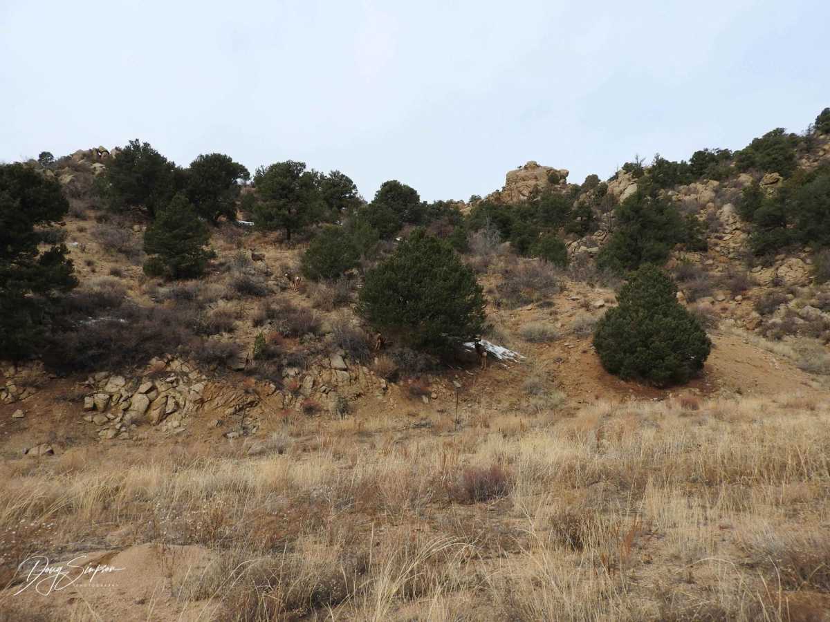 BLM 6051 photo 5