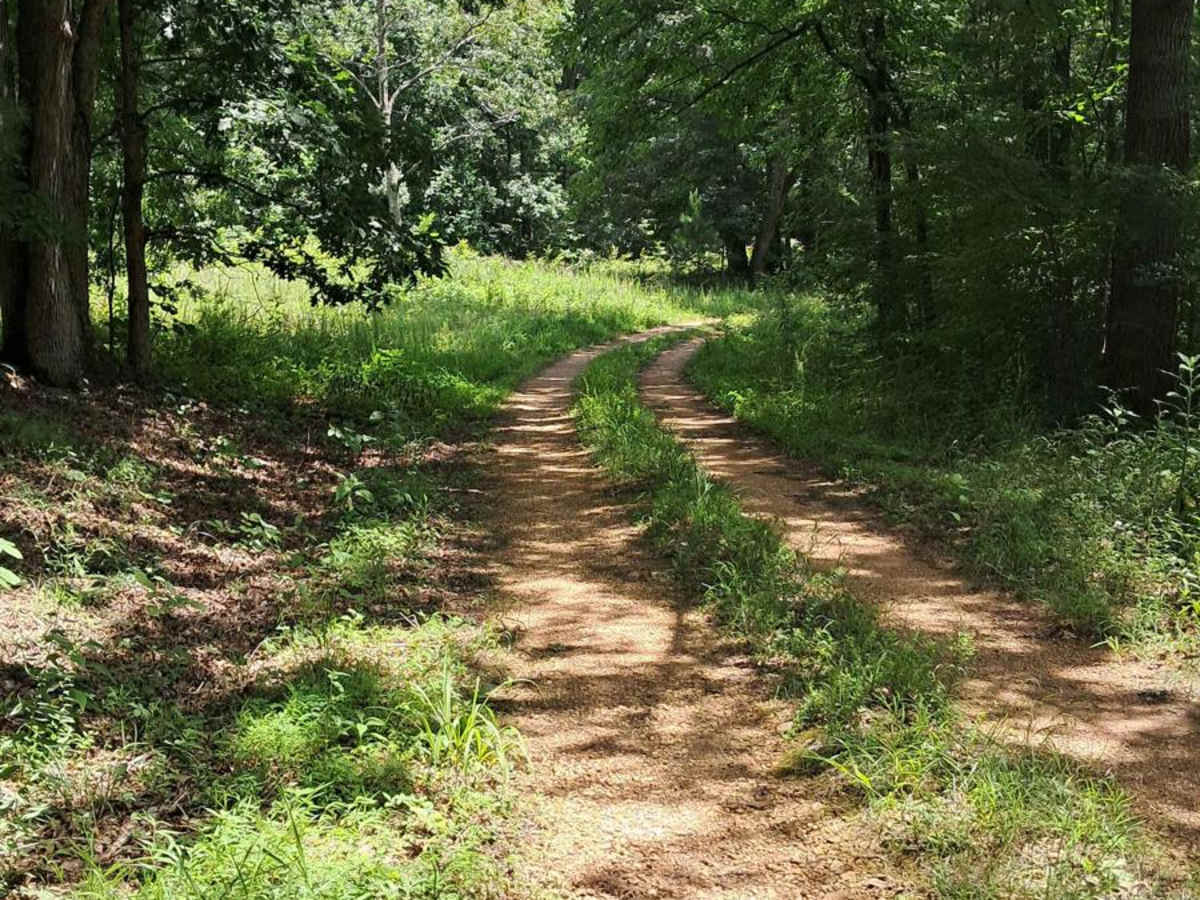 Bear Creek Road photo 6