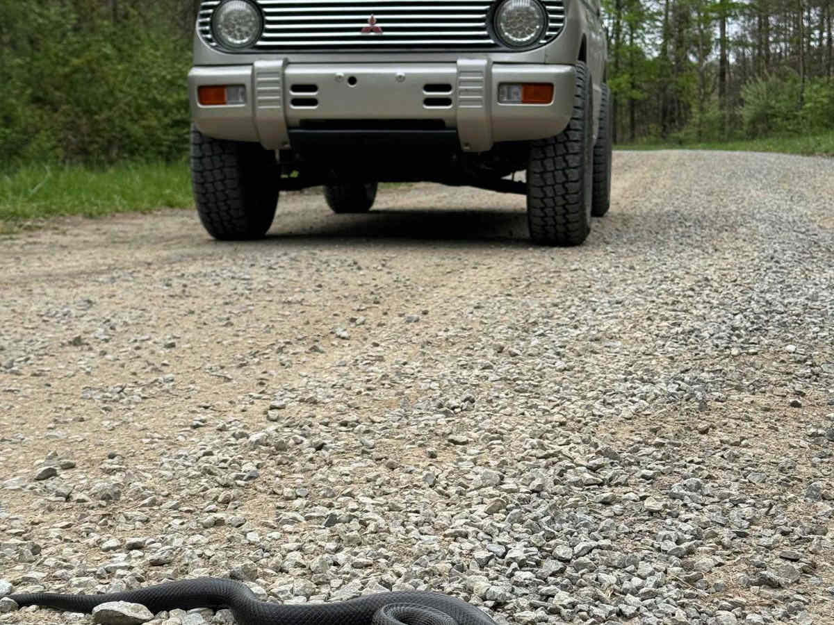 Rock Pit Road photo 5