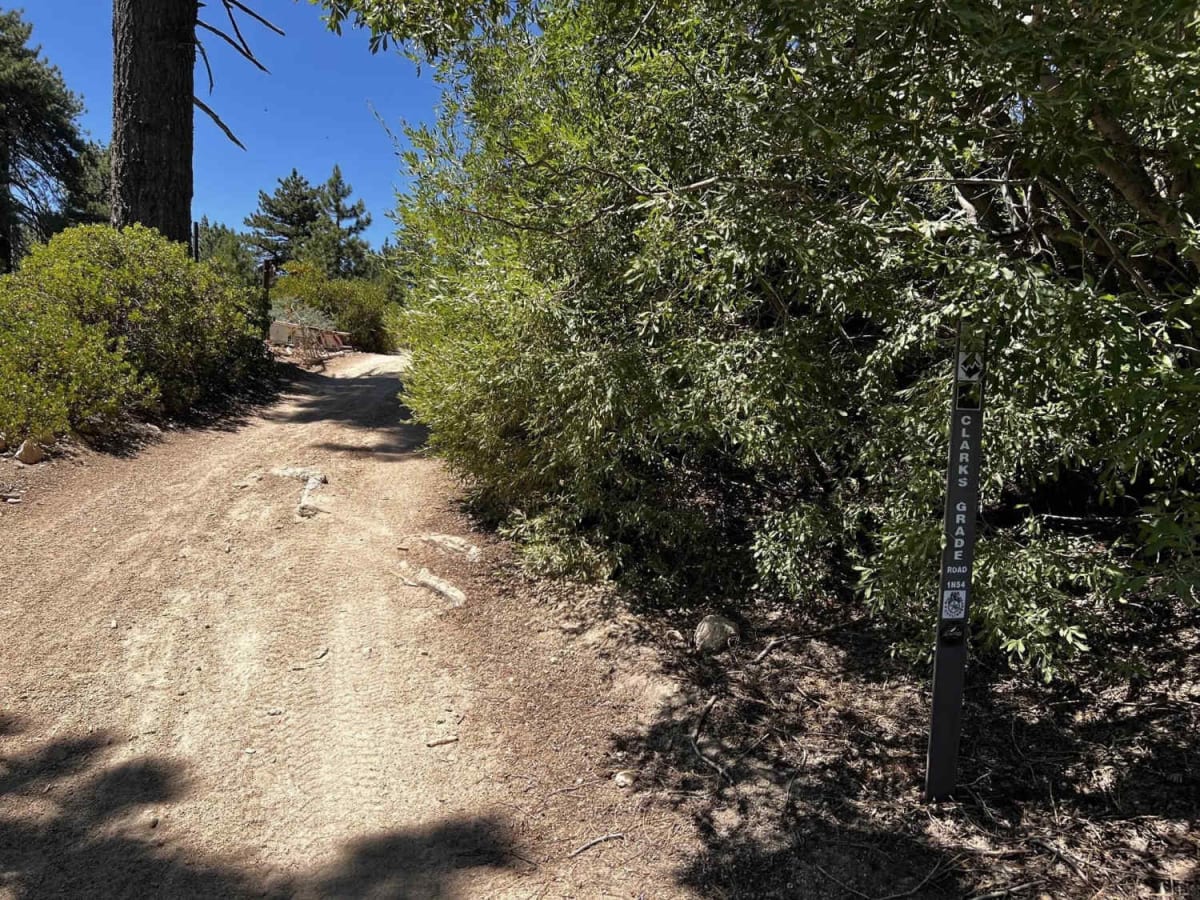 Clark's Grade - FS 1N54 trail photo