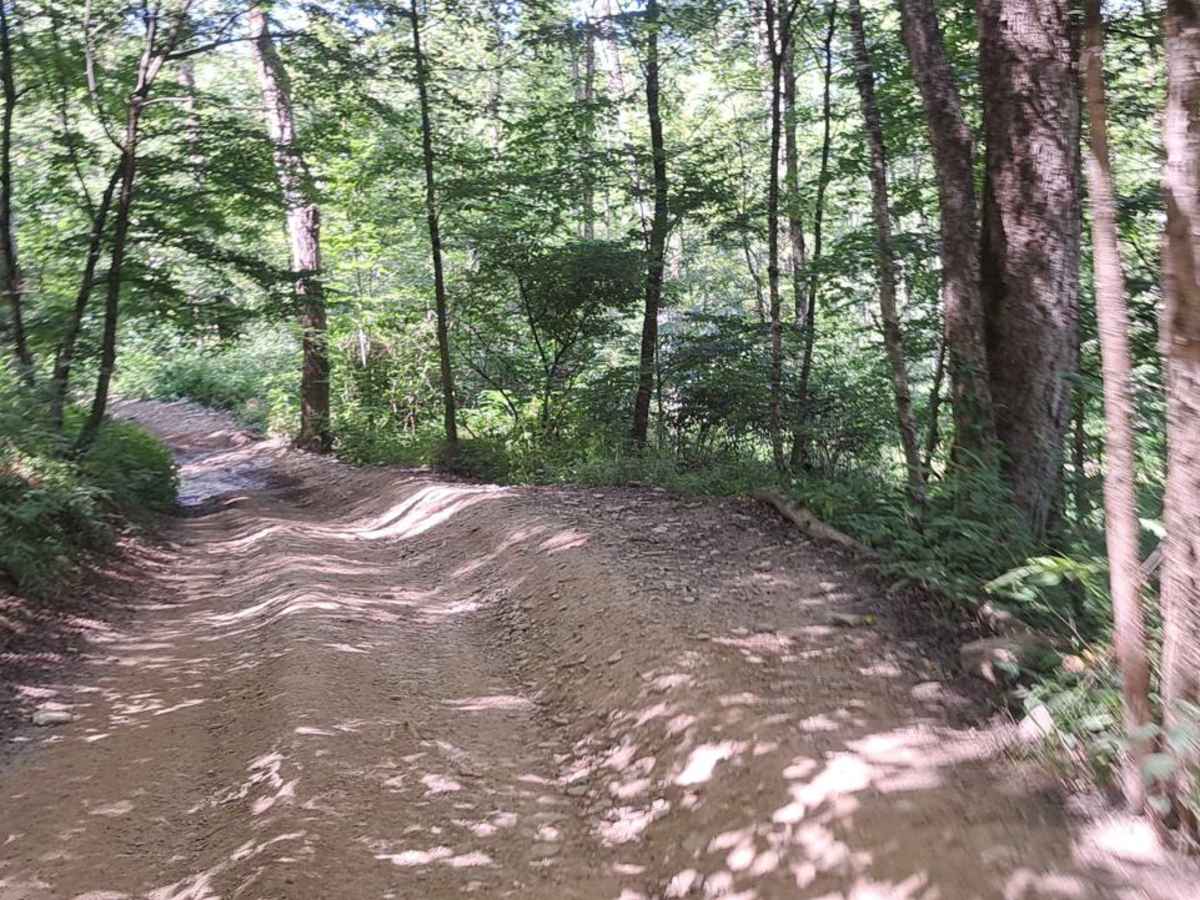 C and D Trail photo 3
